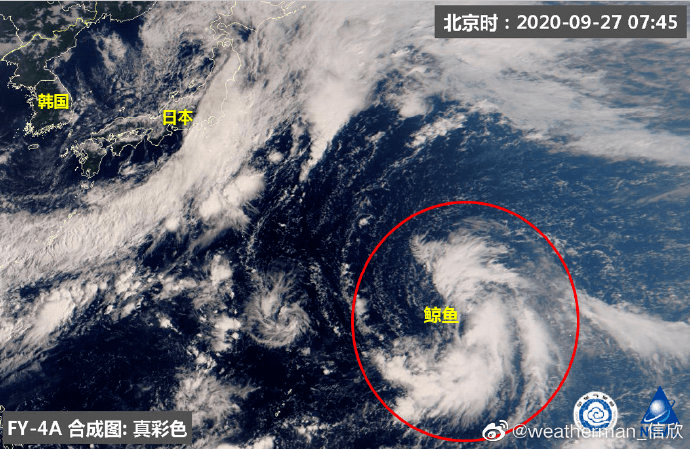 “台风十三号：温暖护航，最新气象资讯”