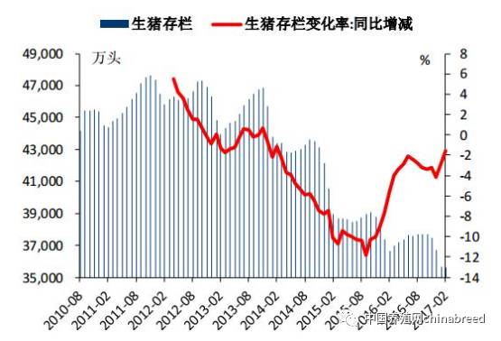 2017年猪市展望：美好前景，最新动态一览