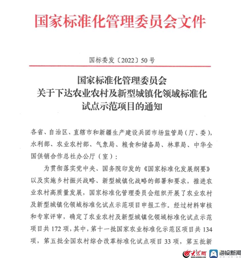 “莒南求职喜讯连连，在线招聘新机遇绽放”