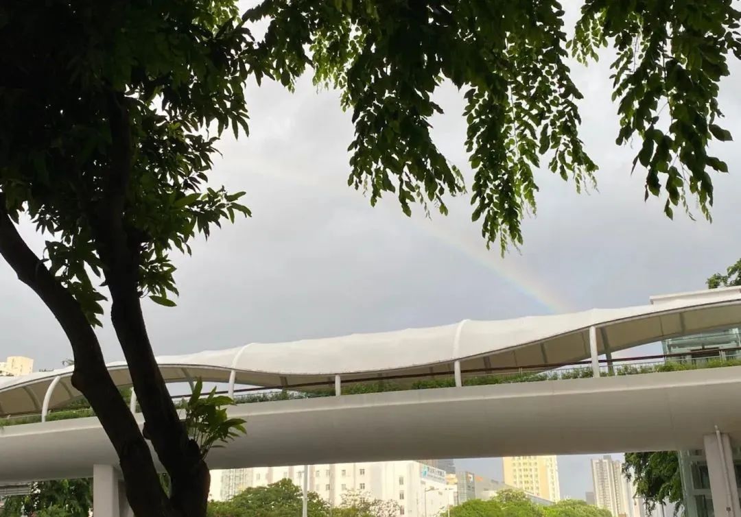 深圳帕卡台风温情速报，风雨过后见彩虹