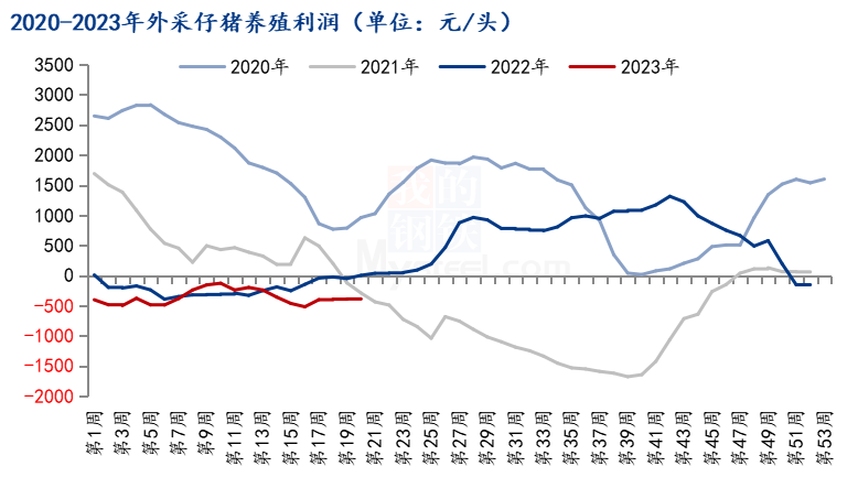 东营玉米市场喜报连连，价格行情一路飘红！