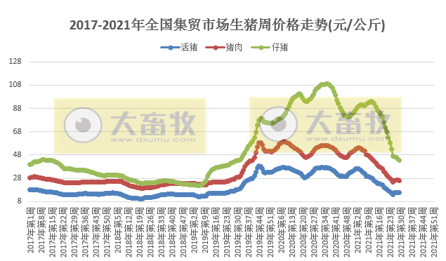 云南生猪市场迎来新高峰，今日价格喜人上涨！