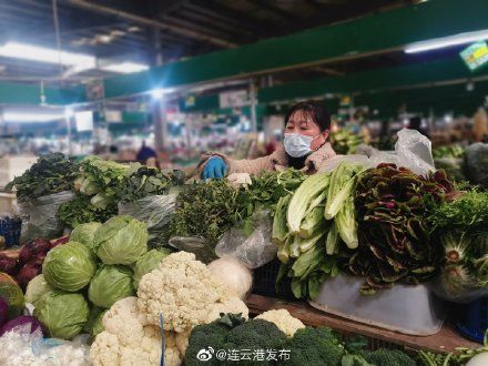 新鲜蔬菜价惠连云港，尽享田园美好时光