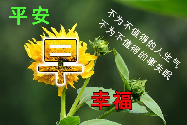 细腻探寻