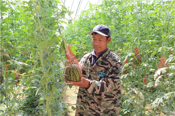 章丘黄河滩区居民乔迁新居，共迎美好未来！