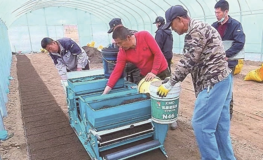 “大蒜种植新机具演示视频”