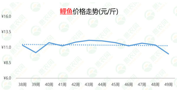 最新生鱼市场价格动态