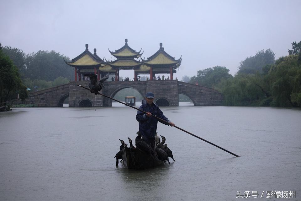 最新版指尖捕鱼一键下载