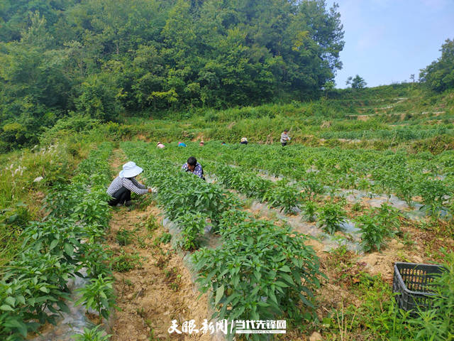 瓮安江界河镇：最新建设成果大盘点