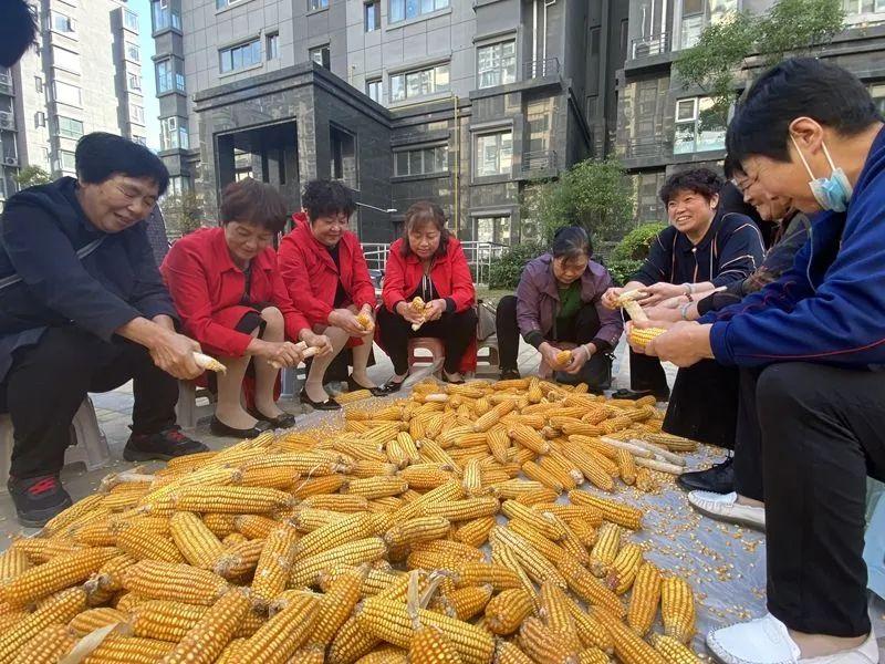 泗阳雨润广场最新动态揭晓，精彩资讯不容错过！