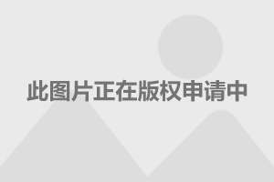 国产全新款超长头重型卡车风采展示图集