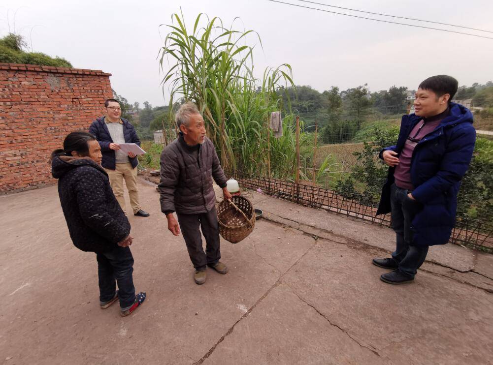 上海江阳市场最新资讯一览：新鲜动态全面解读