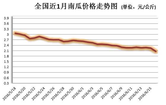 最新西芹市场行情动态一览