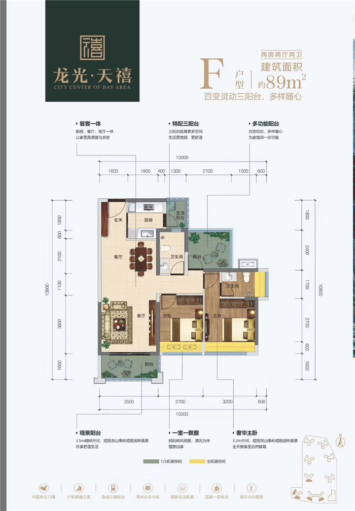 最新生鸡市场价格动态一览